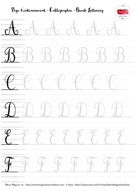 À L'aise Cahier d'exercices de calligraphie moderne avancée